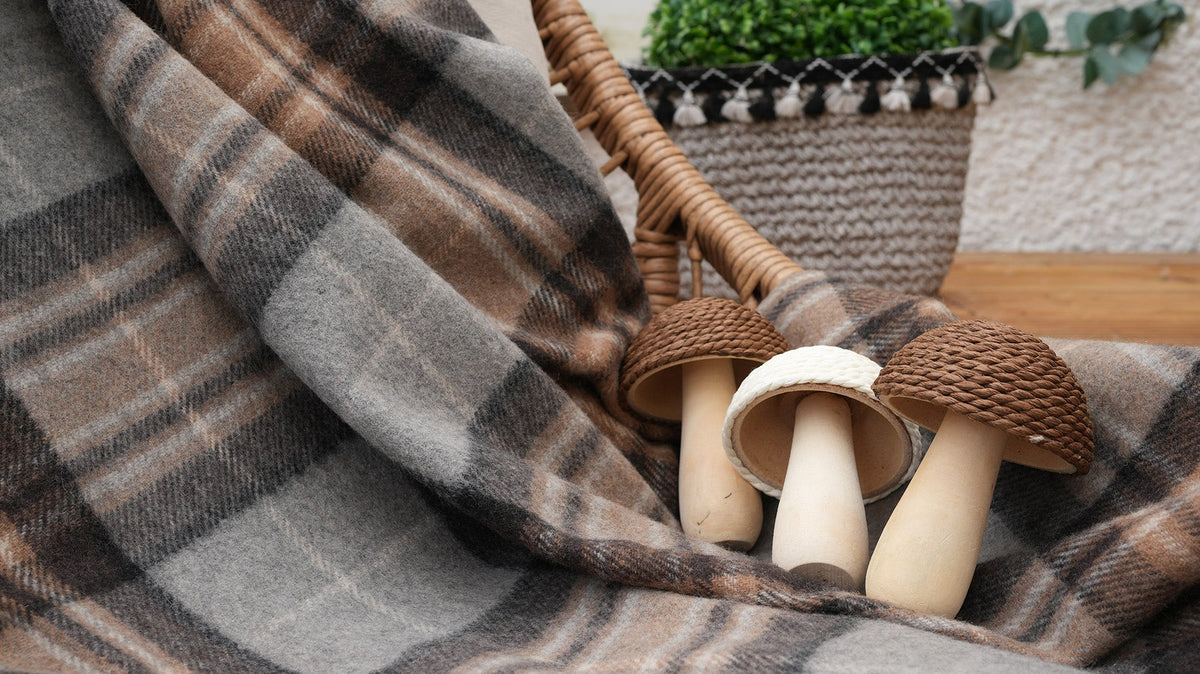 Autumn Comfort: Walks, Wool and Cosy Moments