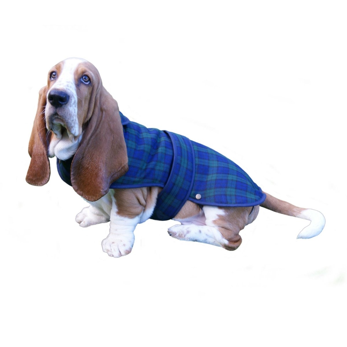 Classic Scottish Tartan Dog Coat in Black Watch - Heritage Of Scotland - Medium