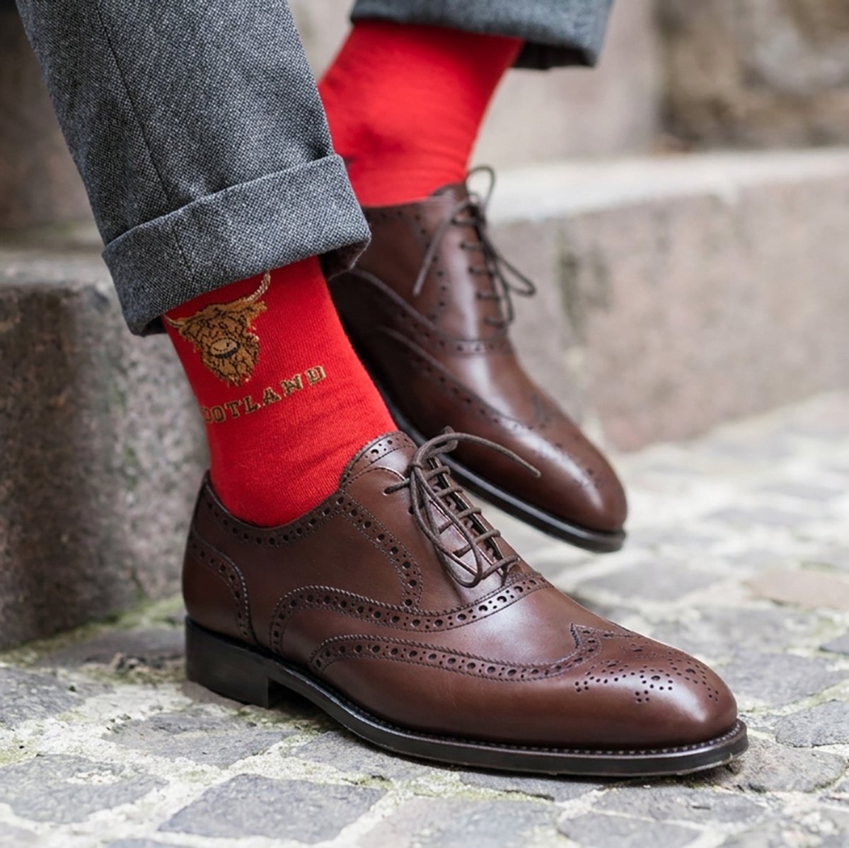 Men’s Luxury Bamboo Socks – Soft, Breathable & Stylish Everyday Comfort - HIGHLAND COW HEAD SCOTLAND RED - Heritage Of Scotland -