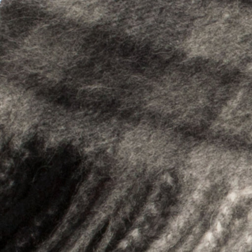 Edinburgh Cashmere Scarf Monochrome Buchanan - Heritage Of Scotland - MONOCHROME BUCHANAN
