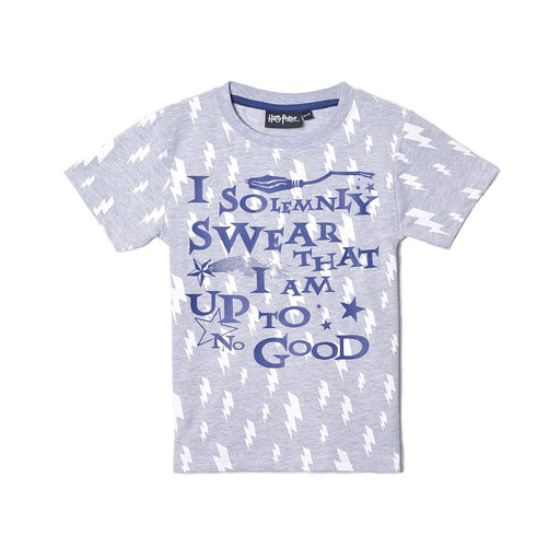 Harry Potter I Solemnly Swear Tee - Heritage Of Scotland - N/A