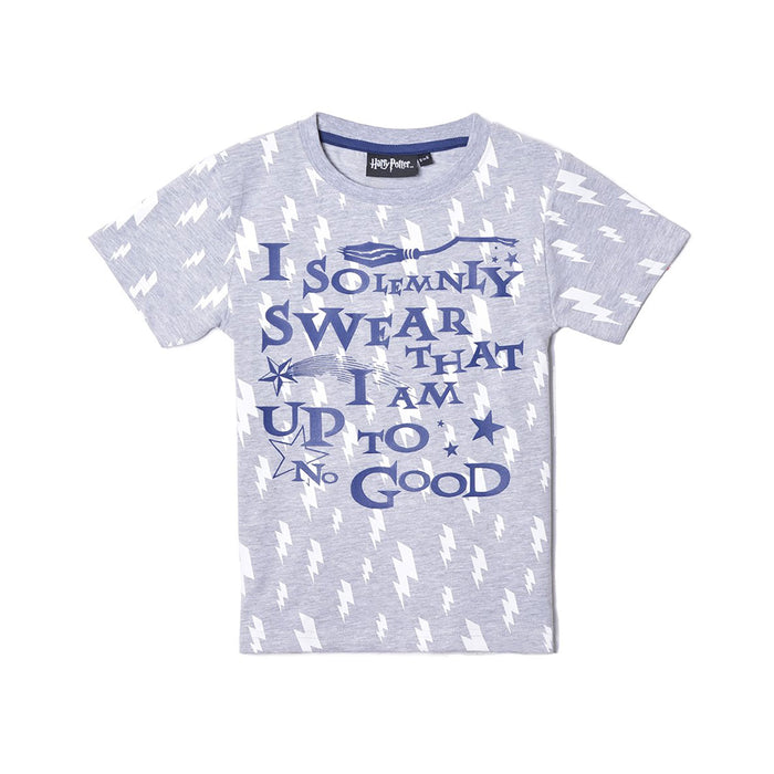 Harry Potter I Solemnly Swear Tee - Heritage Of Scotland - N/A