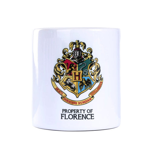 Harry Potter Money Box Florence - Heritage Of Scotland - FLORENCE