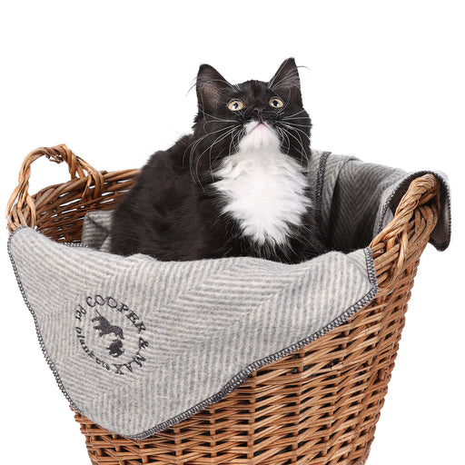 Herringbone Pet Blanket Grey Medium - Heritage Of Scotland - GREY MEDIUM