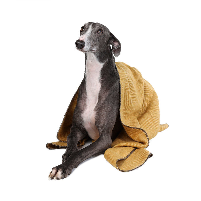 Herringbone Pet Blanket Mustard - Heritage Of Scotland - MUSTARD