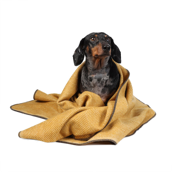 Herringbone Pet Blanket Mustard - Heritage Of Scotland - MUSTARD