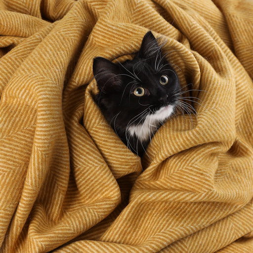 Herringbone Pet Blanket Mustard - Heritage Of Scotland - MUSTARD