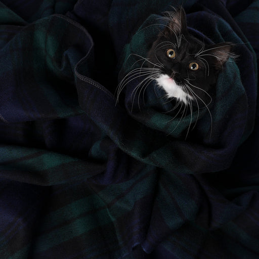 Tartan Pet Blanket Black Watch - Heritage Of Scotland - BLACK WATCH
