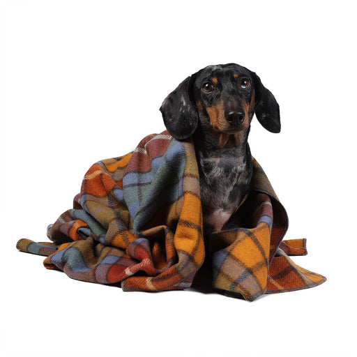 Tartan Pet Blanket Buchanan Antique - Heritage Of Scotland - BUCHANAN ANTIQUE