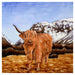 8X8 Highland Cow Tile - Heritage Of Scotland - NA