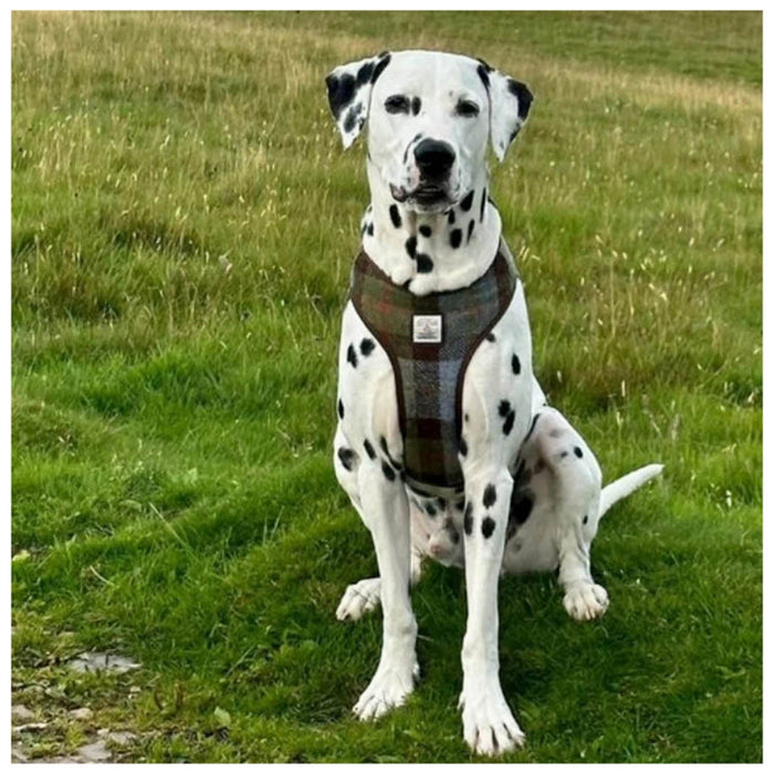 Harris Tweed Dog Harness Pink Check - Heritage Of Scotland - PINK CHECK