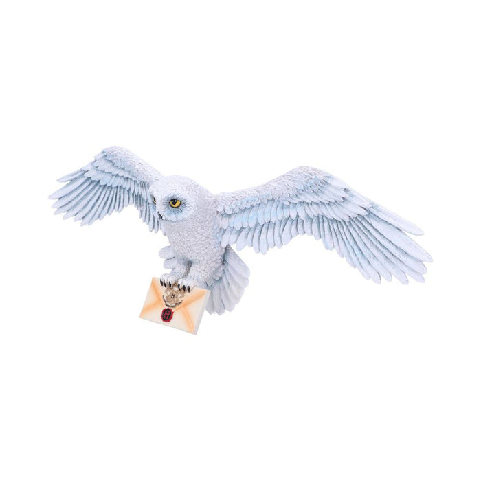 Harry Potter Hedwig Wall Plaque 45Cm - Heritage Of Scotland - NA