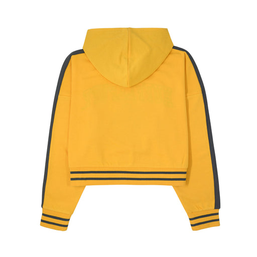 Hufflepuff Cropped Hoodie - Heritage Of Scotland - NA