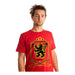 Men's Gryffindor Quidditch Tee - Heritage Of Scotland - RED