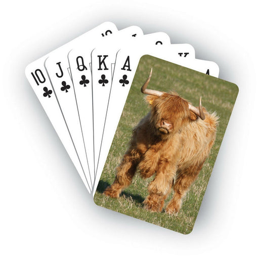 Playing Card - Highland Cow - Heritage Of Scotland - NA