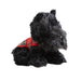 Plush Toy - Black Dog 15Cm - Heritage Of Scotland - NA