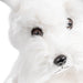 Plush Toy - White Dog 25Cm - Heritage Of Scotland - NA