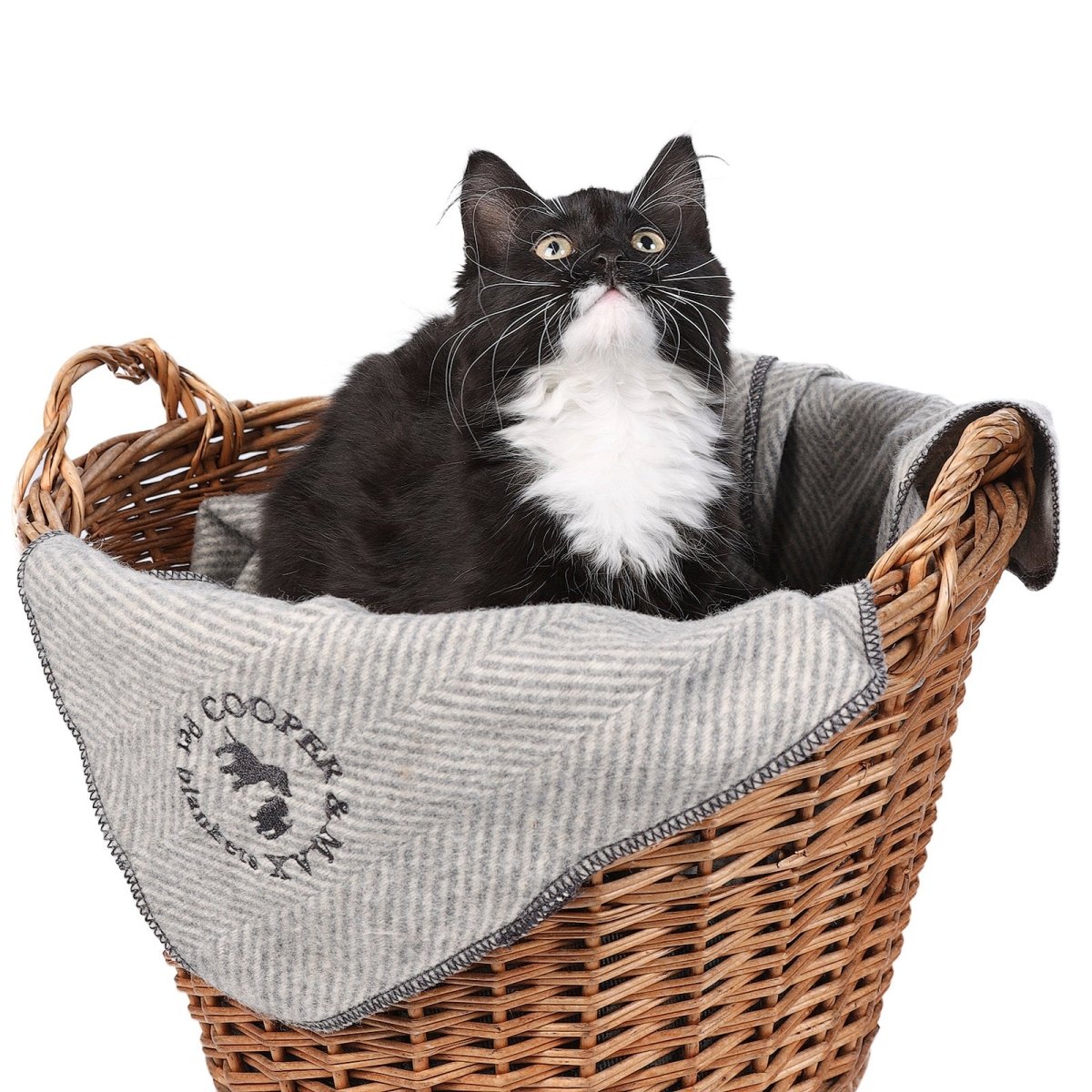 Recycled Wool Herringbone Pet Blanket – 150cm x 90cm - GREY MEDIUM - Heritage Of Scotland -