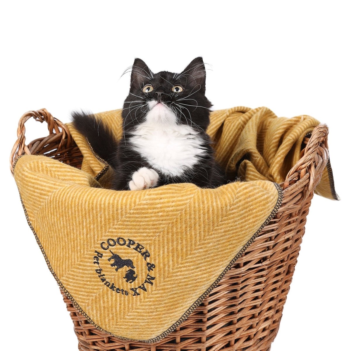 Recycled Wool Herringbone Pet Blanket – 150cm x 90cm - MUSTARD - Heritage Of Scotland -