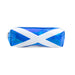 Shiny Saltire Pencil Case - Heritage Of Scotland - NA