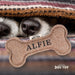 Squeaky Bone Dog Toy Alfie - Heritage Of Scotland - ALFIE