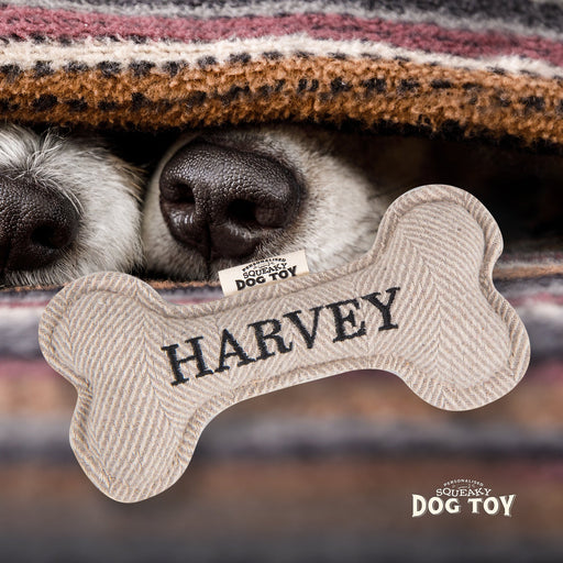 Squeaky Bone Dog Toy Harvey - Heritage Of Scotland - HARVEY
