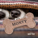 Squeaky Bone Dog Toy Monty - Heritage Of Scotland - MONTY