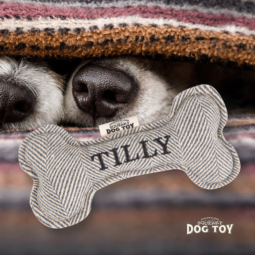 Squeaky Bone Dog Toy Tilly - Heritage Of Scotland - TILLY