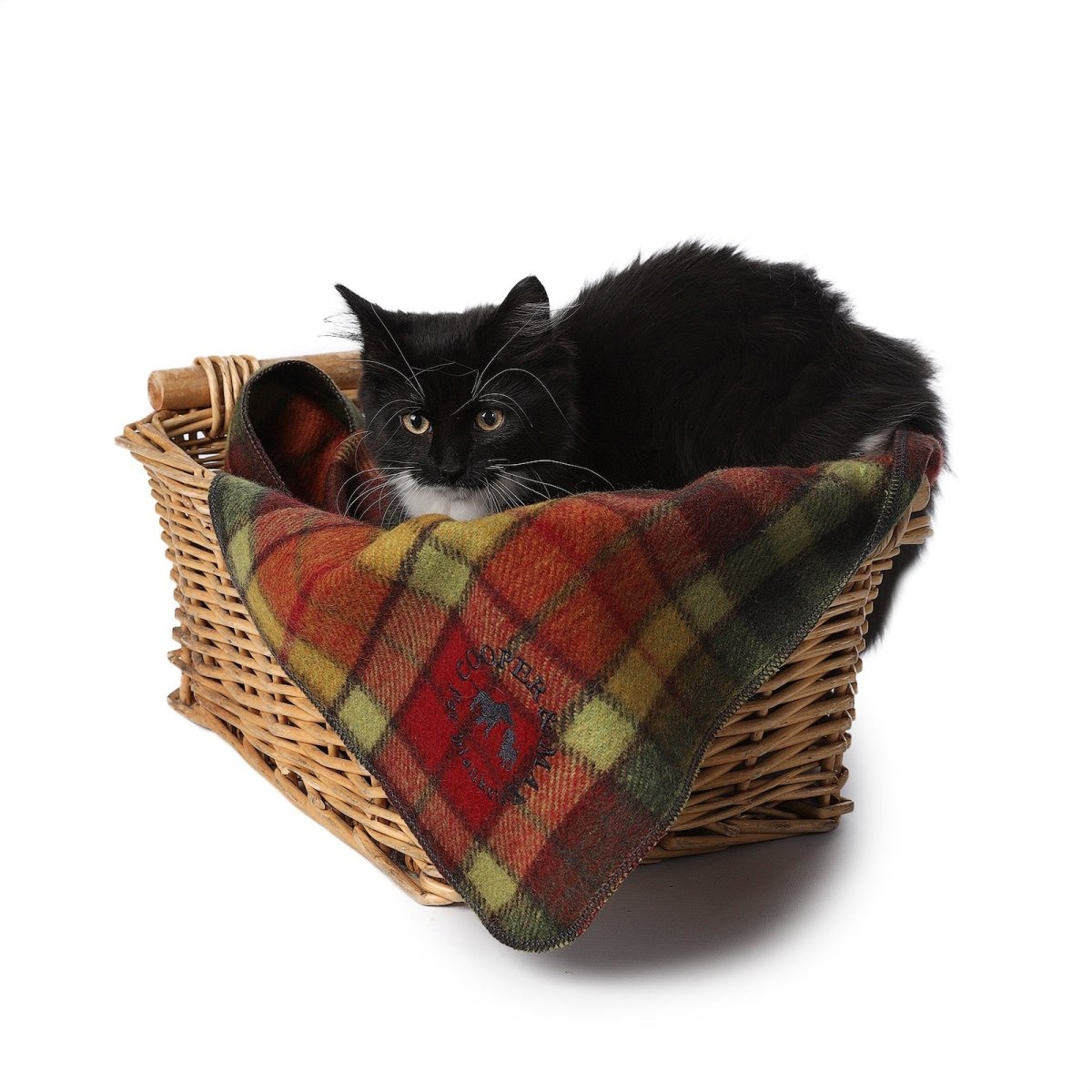 Tartan Tails – Recycled Wool Pet Blanket for Dogs & Cats - BUCHANAN AUTUMN - Heritage Of Scotland -