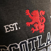 Unisex Scotland Hoodie Charcoral – Lion Rampant Pullover - Heritage Of Scotland - XS