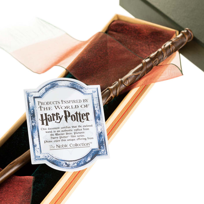 Hermione's Wand In Ollivanders Box