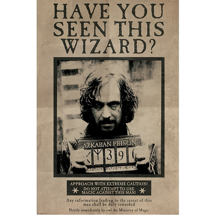 Have You Seen This Wizard Maxi Poster Harry Potter