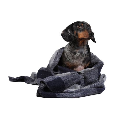 Check Pet Blanket Blue Check - Heritage Of Scotland - BLUE CHECK