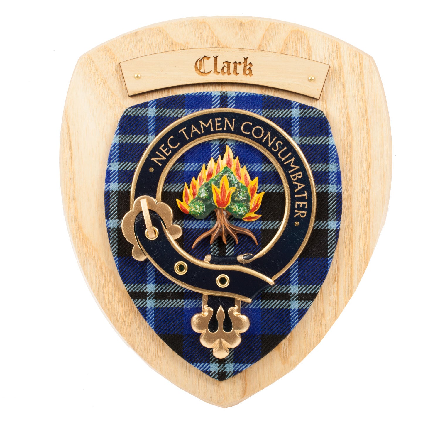 Scottish Clan Wall Plaque | Made in Scotland | Wood frame | Wall hanging Gift - Picture 63 of 517