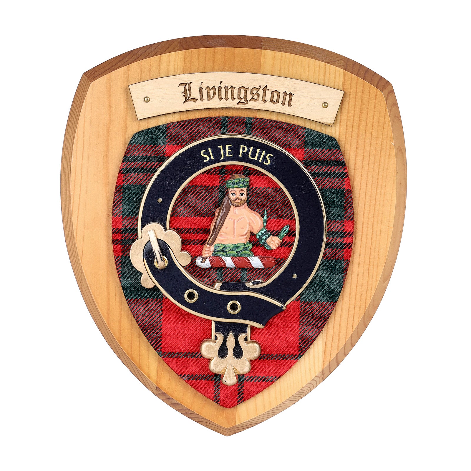 Scottish Clan Wall Plaque | Made in Scotland | Wood frame | Wall hanging Gift - Picture 219 of 517