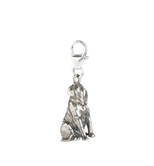 Hagrids Dog Fang Clip On Charm - Heritage Of Scotland - NA