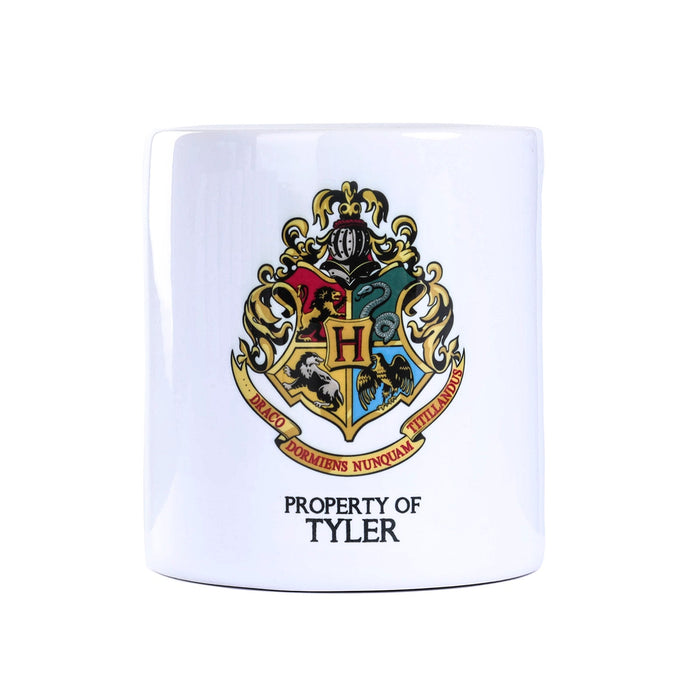 Harry Potter Money Box Tyler - Heritage Of Scotland - TYLER