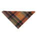 Heritage Hounds Tweed Dog Bandana - Heritage Of Scotland - AMBER CHECK