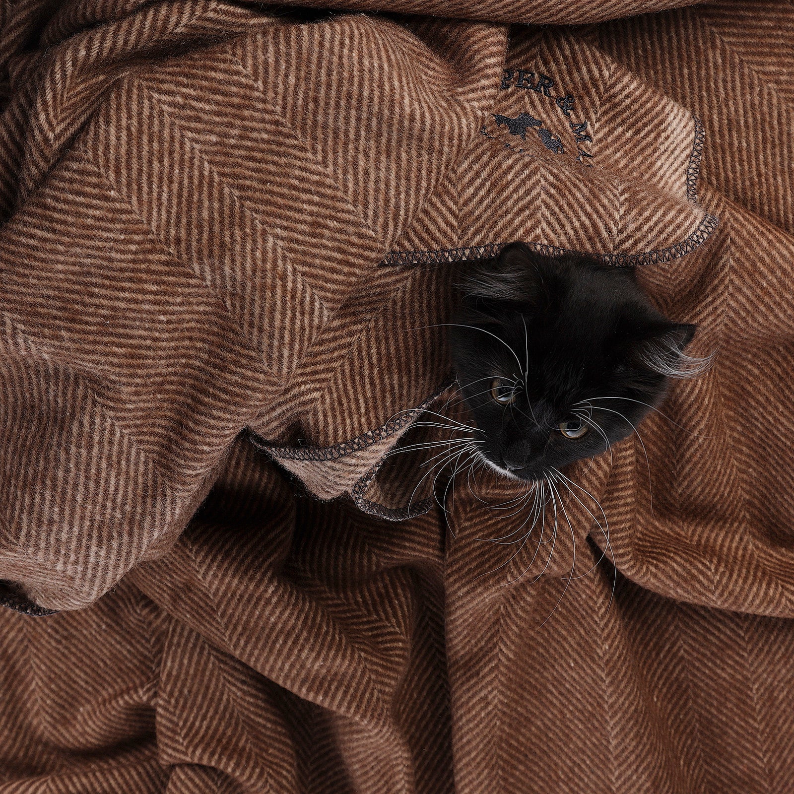 Herringbone Pet Blanket Chestnut Brown - Heritage Of Scotland - CHESTNUT BROWN