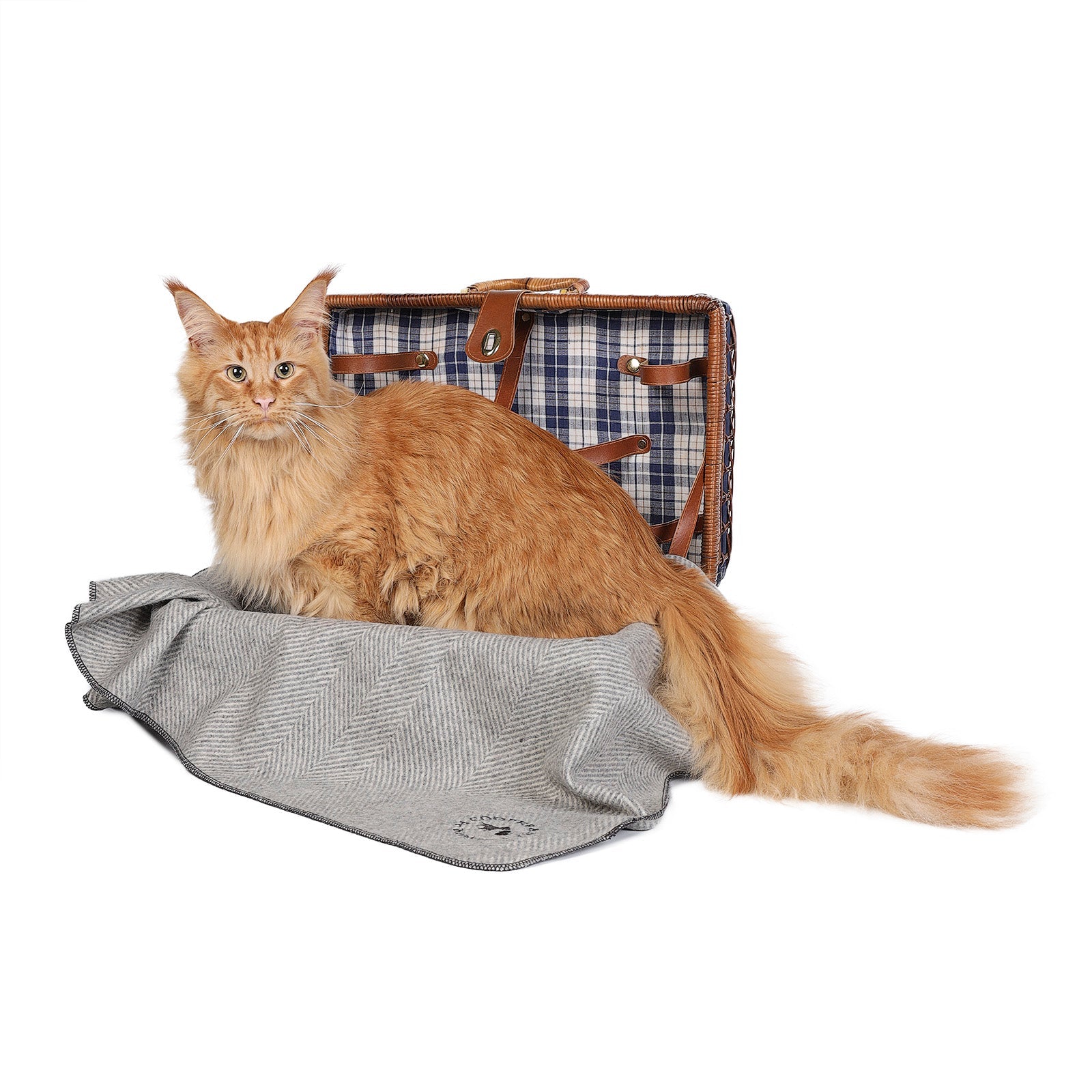 Herringbone Pet Blanket Grey Medium - Heritage Of Scotland - GREY MEDIUM