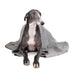 Herringbone Pet Blanket Grey Medium - Heritage Of Scotland - GREY MEDIUM