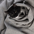 Herringbone Pet Blanket Grey Medium - Heritage Of Scotland - GREY MEDIUM