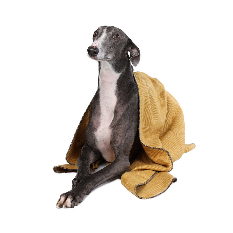 Herringbone Pet Blanket Mustard - Heritage Of Scotland - MUSTARD