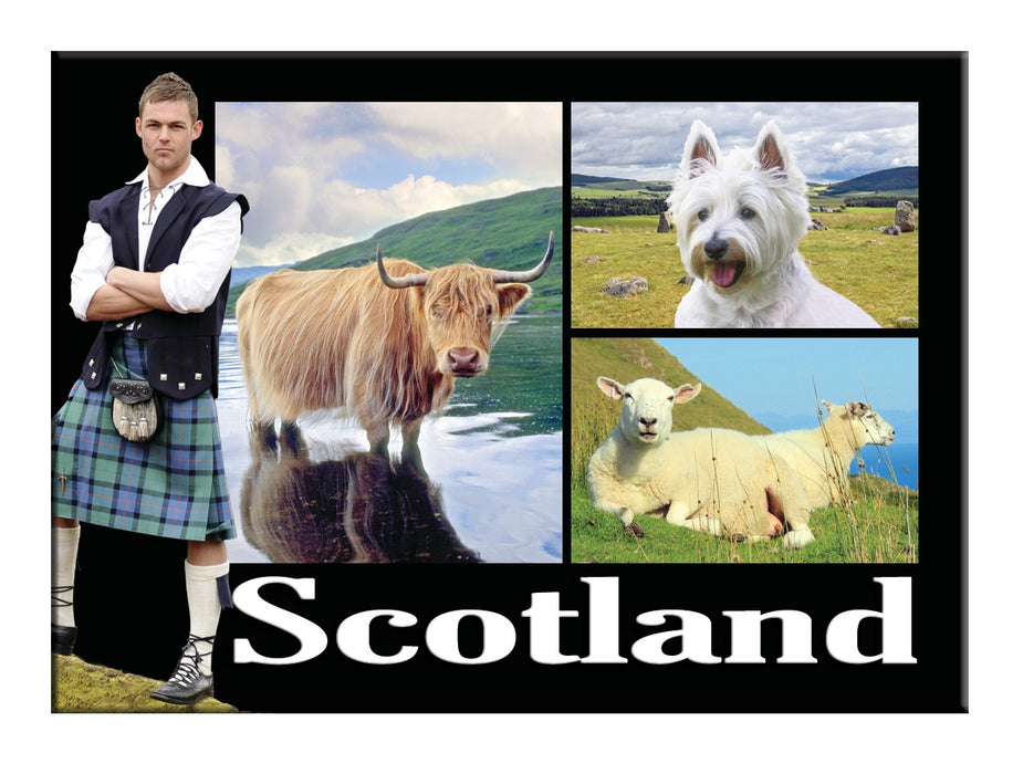 Magnet Mr Kiltie - Heritage Of Scotland - NA