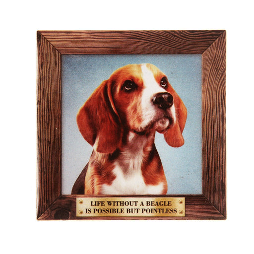 Pet Fridge Magnet Big Beagle - Heritage Of Scotland - BEAGLE