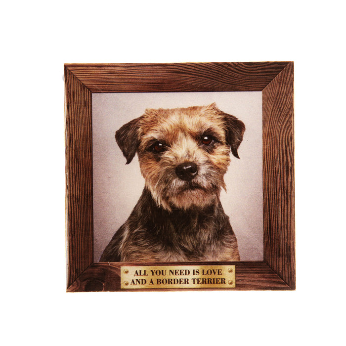 Pet Fridge Magnet Big Border Terrier - Heritage Of Scotland - BORDER TERRIER