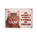 Pet Fridge Magnet Small Cat Mixed - Heritage Of Scotland - CAT MIXED