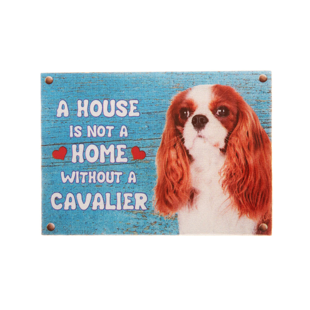 Smallest cavalier king charles sales spaniel