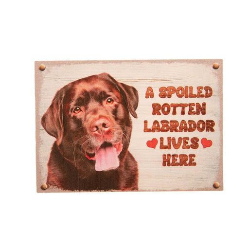 Pet Fridge Magnet Small Labrador Chocolate - Heritage Of Scotland - LABRADOR CHOCOLATE