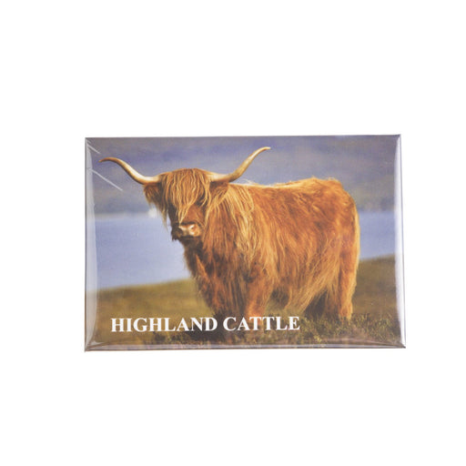 Photo Magnet-Scotland Cow 1 - Heritage Of Scotland - NA